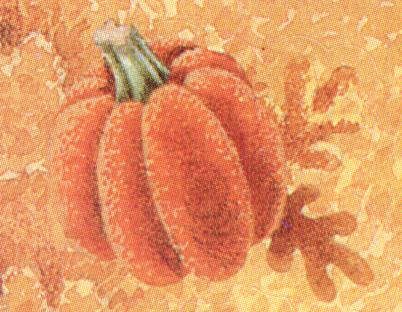 Pumpkin.JPG (34780 bytes)