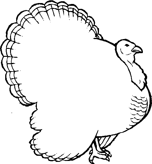 turkey1_5.gif (6312 bytes)